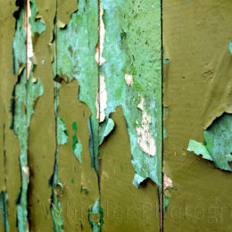 Shades of Kendal Green 3