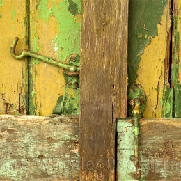 Shades of Kendal Green 4