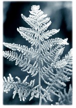 Monochrome Photography