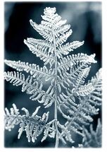 #Fine #Art #Printing #Illustration #Photography #Limited_Edition #Archival_Quality #Giclée_Prints