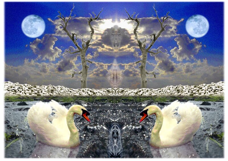 Moon & Swans is a synthetic fantasy