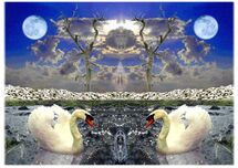 Moon & Swans is a synthetic fantasy