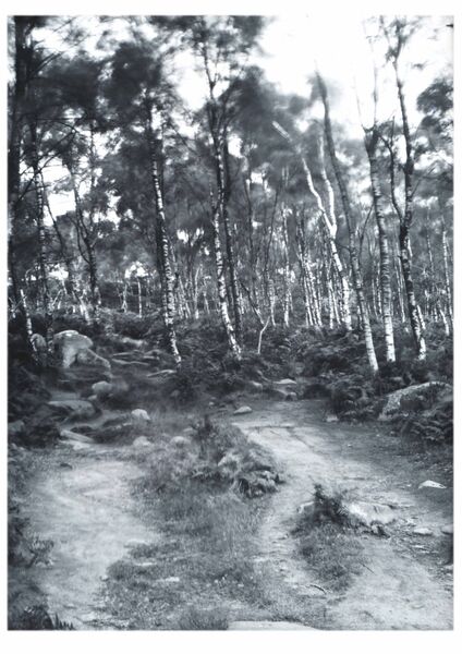 #Fine #Art #Printing #Illustration #Photography #Limited_Edition #Archival_Quality #Giclée_Prints