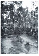 #Fine #Art #Printing #Illustration #Photography #Limited_Edition #Archival_Quality #Giclée_Prints