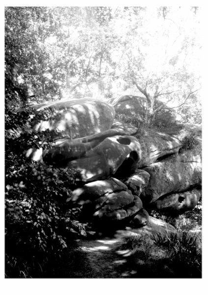 Rowtor Rocks, Sun Light Dappled Boulders