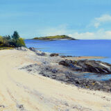 Shell Bright Beach Kippford