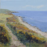 spingtime, Colvend Coast