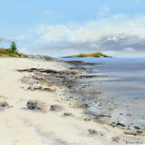 Pebbles and Cockleshells at Kippford