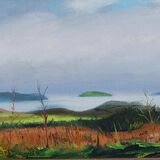 Screel across the Solway