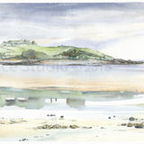Ardwall Island from Carrick