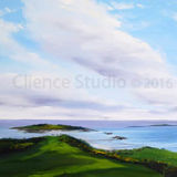 Carrick from Knockbrex Viewpont