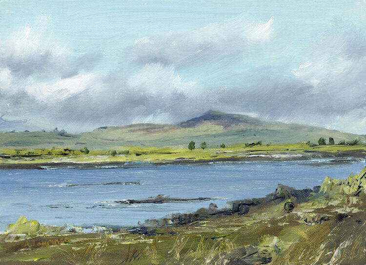 Bringing in the Tide, Carrick