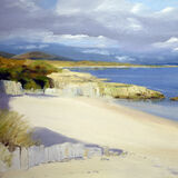 Reflections Mossyard