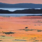 On the Low Tide at Sundown(Galloway)