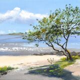 The Kippford Hawthorn