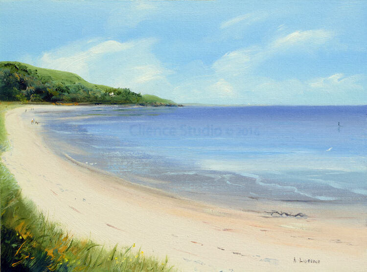 Flying a Kite at Sandyhills