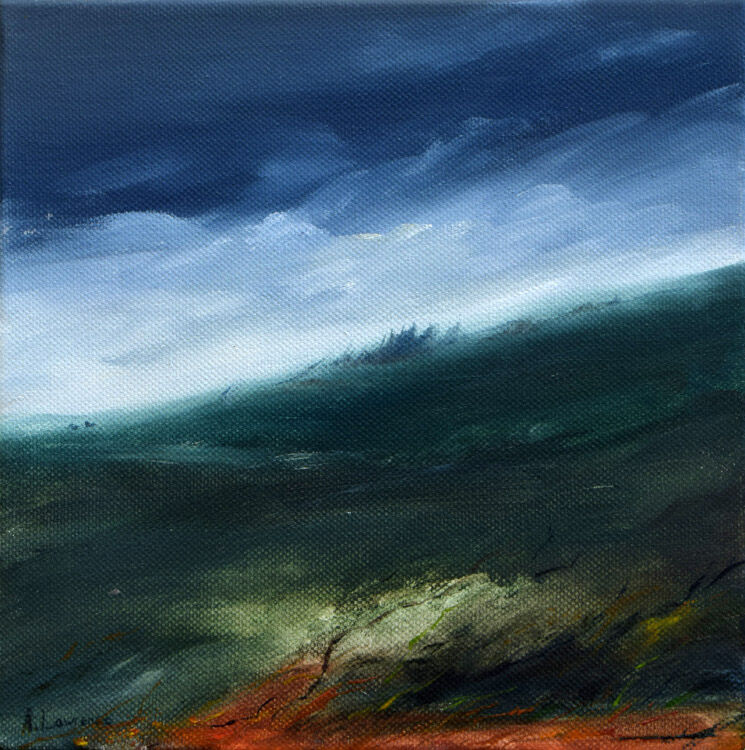 Windy Day