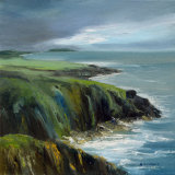 Rugged Beauty (towards the Ross)