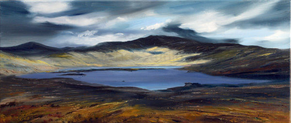 Fleeting Light, Loch Neldrichen