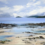 Low tide Pools at Rockcliffe