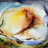 Other Landscapes
