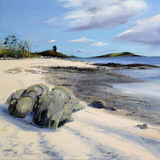 Along the Cockleshell Beach