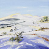 Bright Snowy Day, Cairnsmore of Fleet