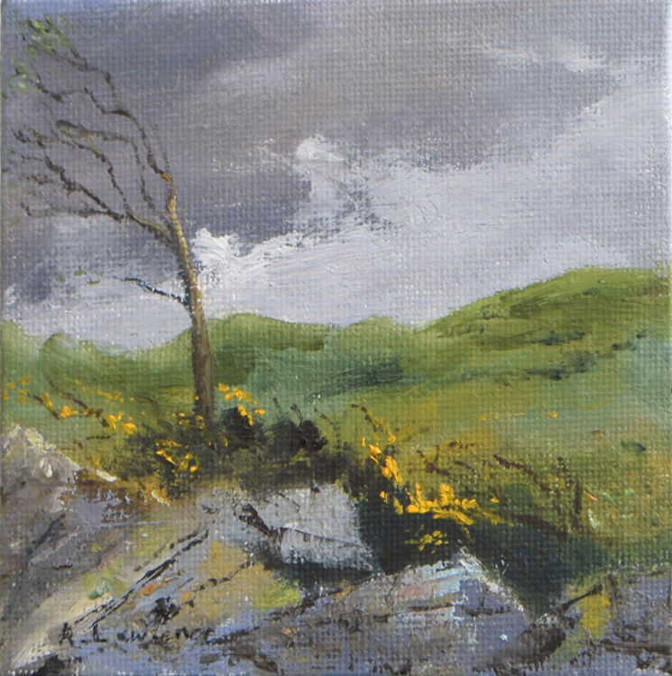 The Windswept Tree