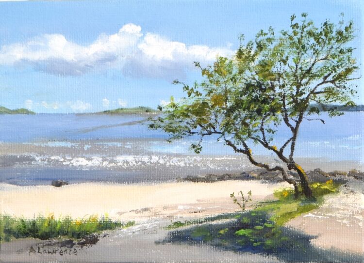 The Kippford Hawthorn