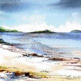 Kippford shell beach