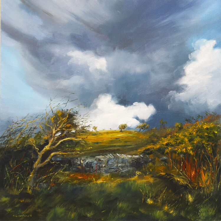 Where the Wind Blows