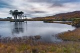 Assynt 36