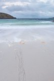 Assynt 51