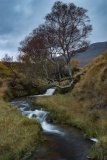 Assynt 59