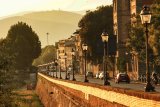 Florence 12