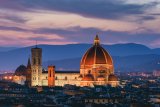 Florence 8
