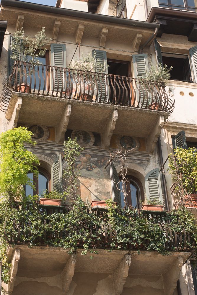 Verona 5