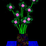 'Dark Vase at Night'