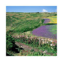 Nanquidno - Cornwall