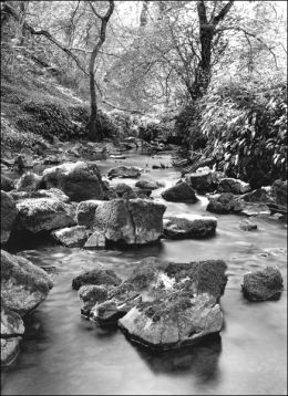 Bishopston Valley, Gower