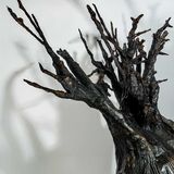 "Goddess Danu" Sculpture Prize 2020 RUA