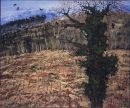 Ivied Coat, Cave Hill oil on canvas 72 x 86cms