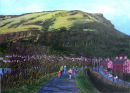 Waterworks Walk, oil on canvas 76 x 102cms