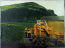 Yellow Digger, Cave Hill Acrylic on Card 36 x 51cms