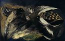1980 "dark and Golden Birds"