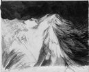 "dark cloud with bird"
