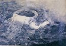 Nude and Crinoids, pencil on paper, 1970