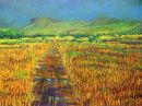 "Summer Bog 2, Sligo", oil on canvas, 36 x 48inches, 1999