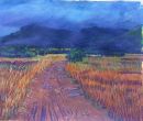 "Summer Bog 1, Sligo", Acrylic on paper, 20 x24inches, 1998