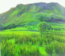 "Tibawn 2, Sligo", oil on canvas, 36 x 42inches, 1998